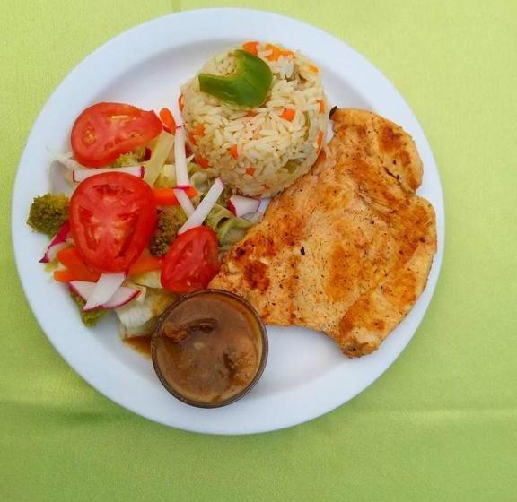 Отель Alamo Internacional