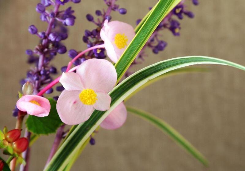 فندق Sunrise Meijiya