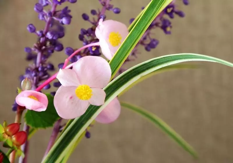 Hotelli Sunrise Meijiya