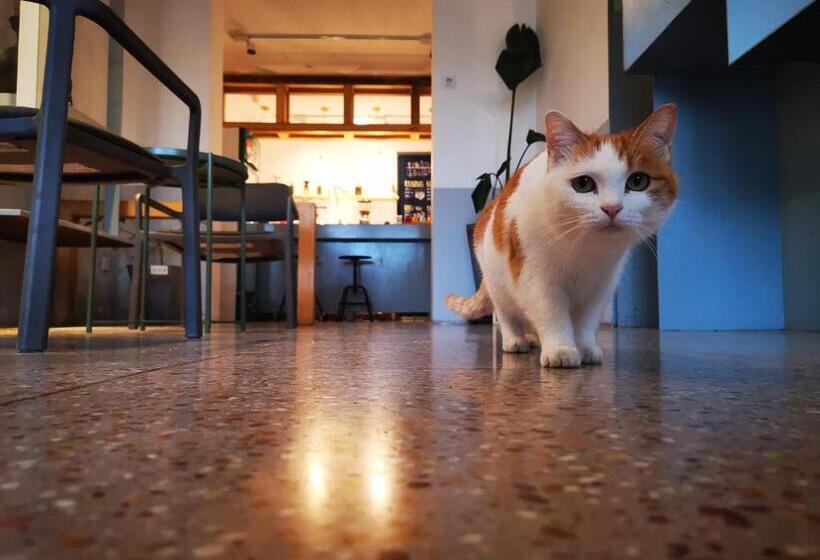 بنسيون Home++ Xi An