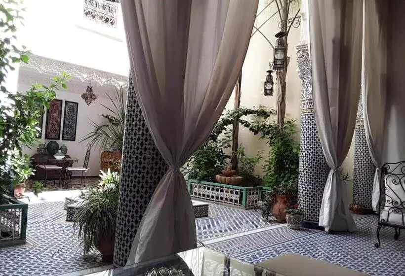 Riad Vega