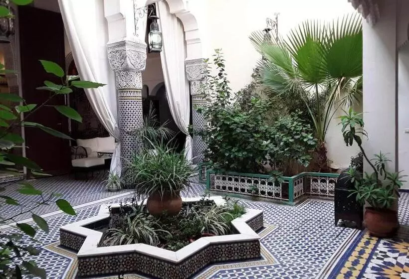 Riad Vega