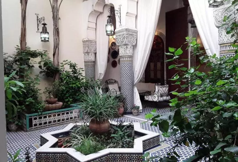 Riad Vega