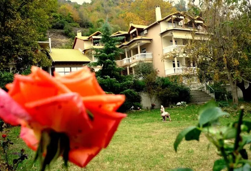 Alkyonis Hotel & Spa