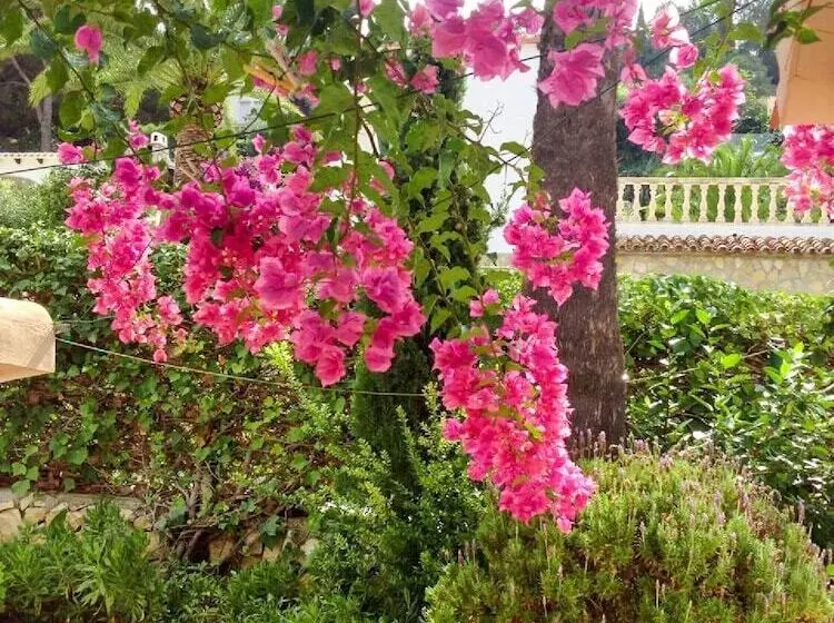 تختخواب و صبحانه Dolce Casa N41