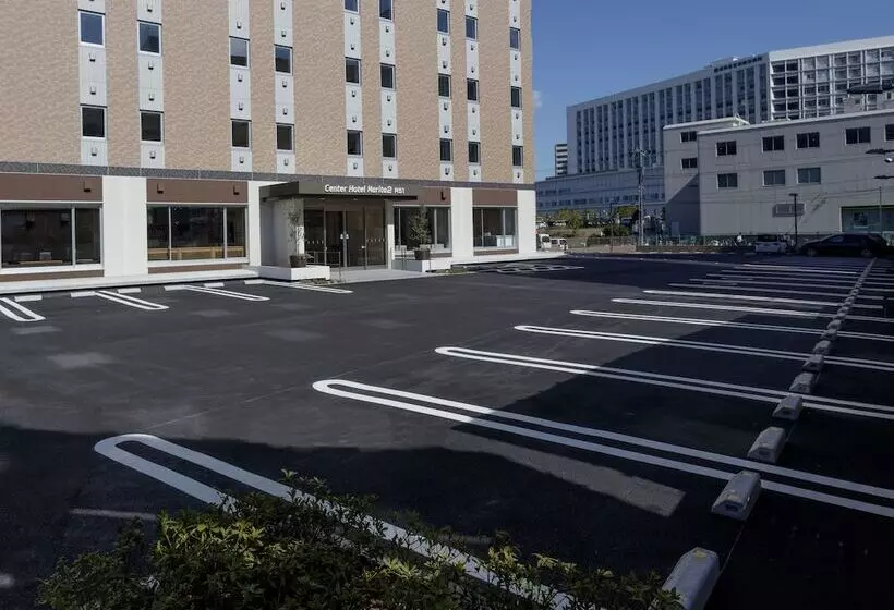 Center Hotel Narita2 R51