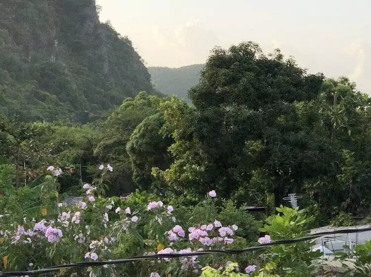 Scarlett Guesthouse Hotel Resorts