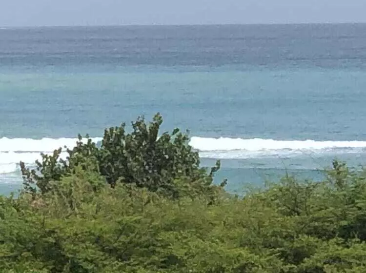 Scarlett Guesthouse Hotel Resorts