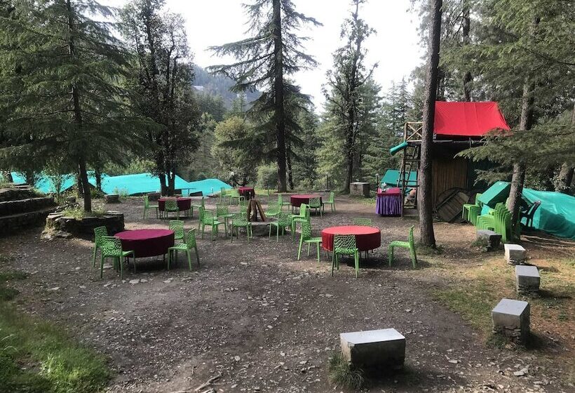 استراحتگاه Mashobra Greens