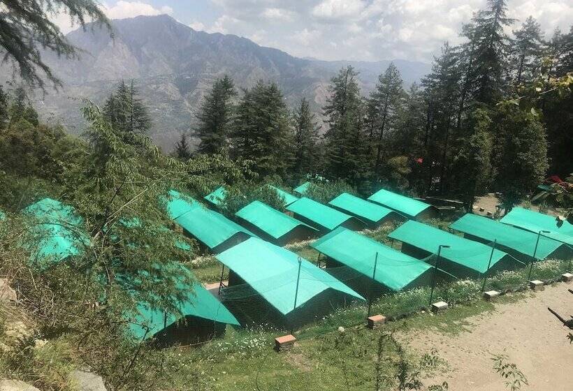 استراحتگاه Mashobra Greens