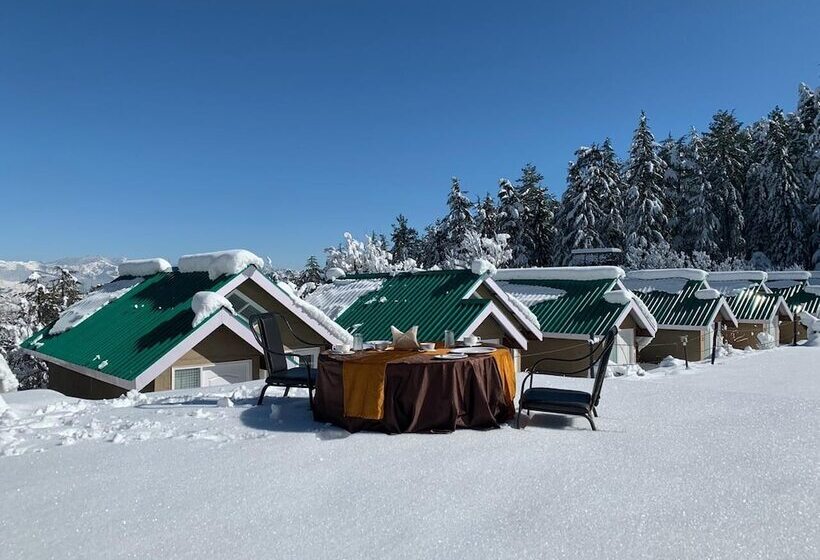 استراحتگاه Mashobra Greens