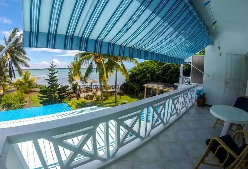 Brabant Studio