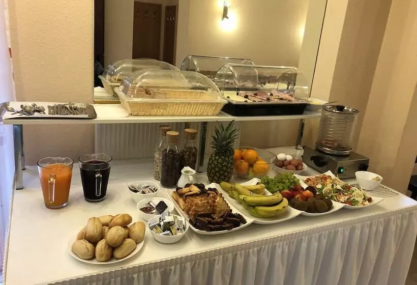 Majatalo Simona Hotel Frankfurt Airport