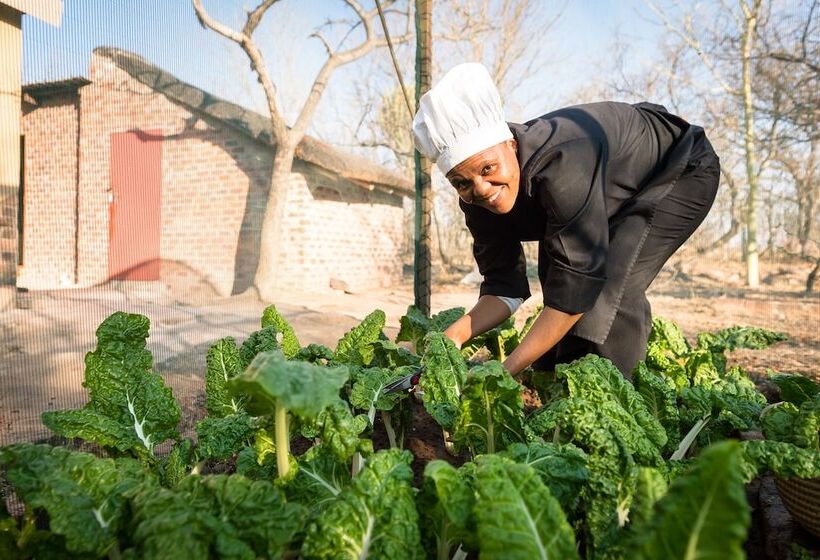 בית מלון כפרי Bushwa Game Lodge