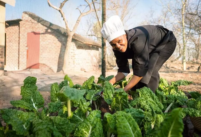 ホテル Bushwa Game Lodge