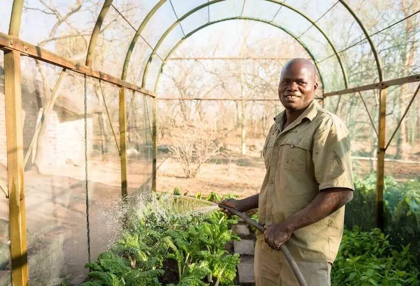 ホテル Bushwa Game Lodge