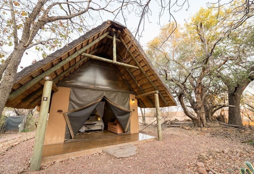 בית מלון כפרי Bushwa Game Lodge