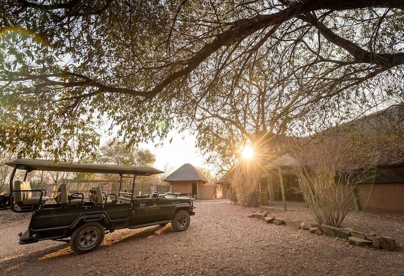 בית מלון כפרי Bushwa Game Lodge