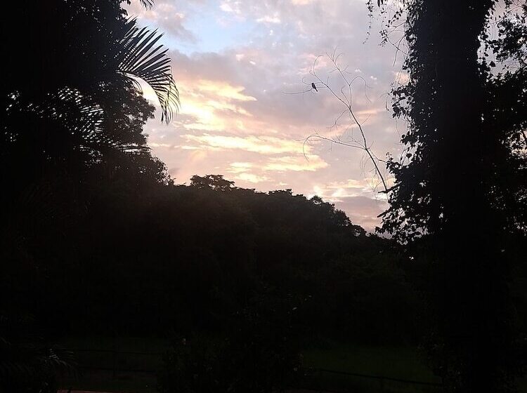 Hotel Pousada Passaredo