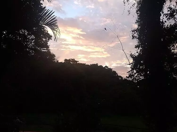 Hotelli Pousada Passaredo