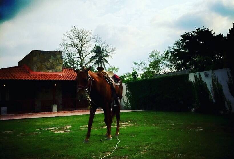 Pansiyon Los Fundadores Estancia Ecológica