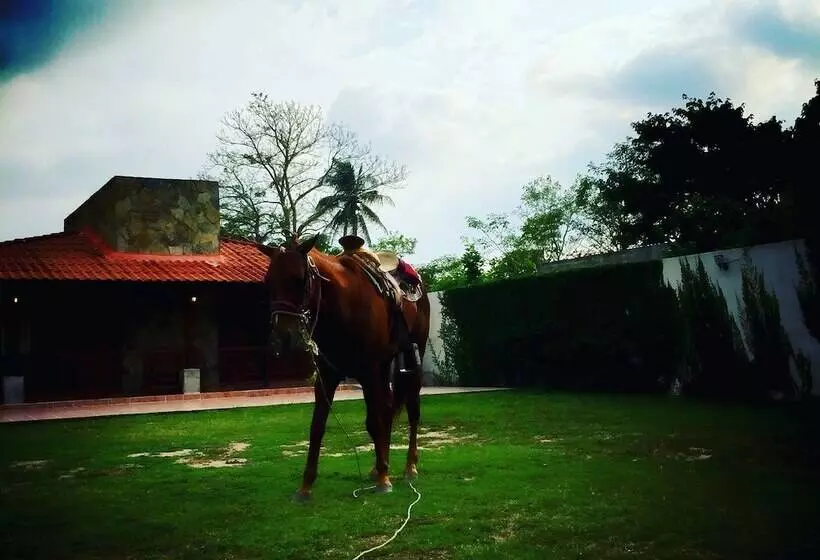 ペンション Los Fundadores Estancia Ecológica