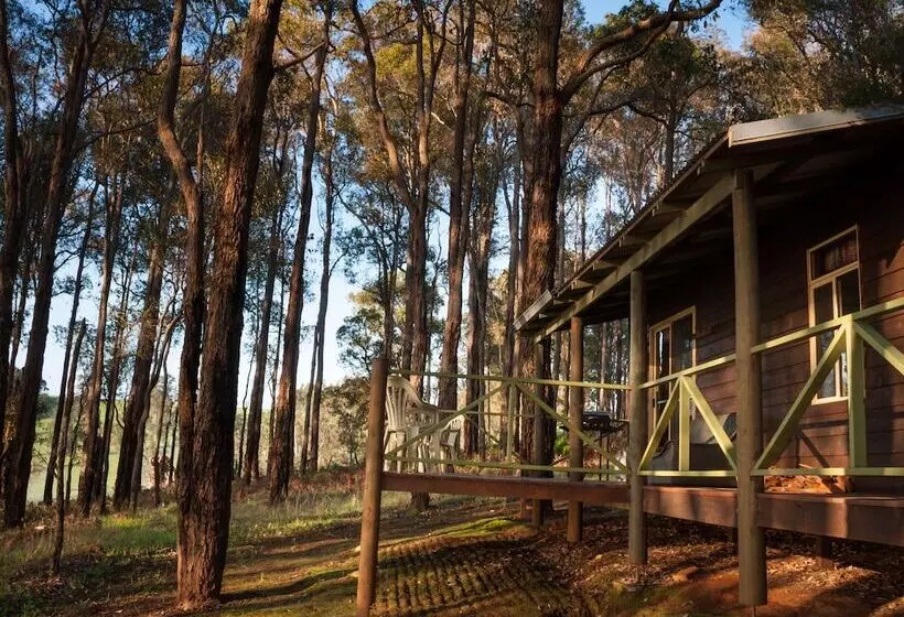 Balingup Heights Hilltop Forest Cottages