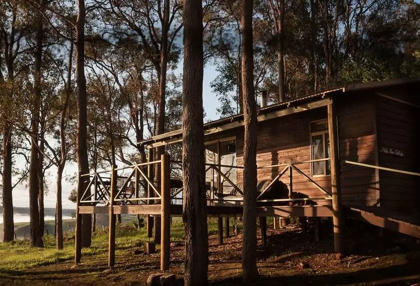 Balingup Heights Hilltop Forest Cottages