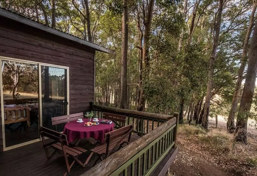Balingup Heights Hilltop Forest Cottages