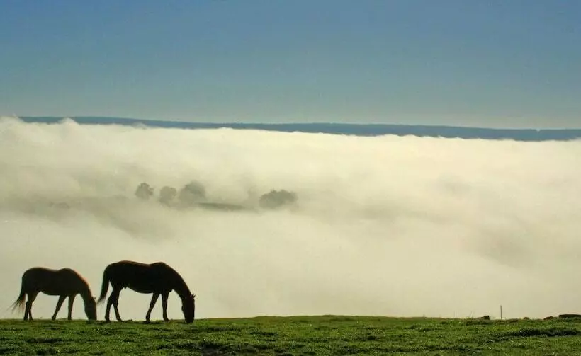 Balingup Heights Hilltop Forest Cottages