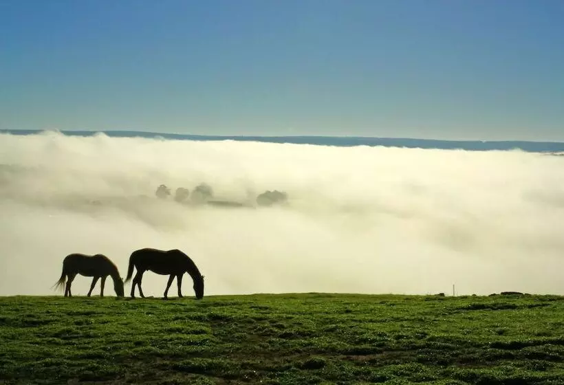 Balingup Heights Hilltop Forest Cottages
