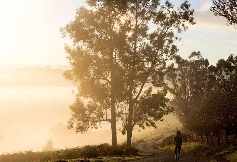 Balingup Heights Hilltop Forest Cottages