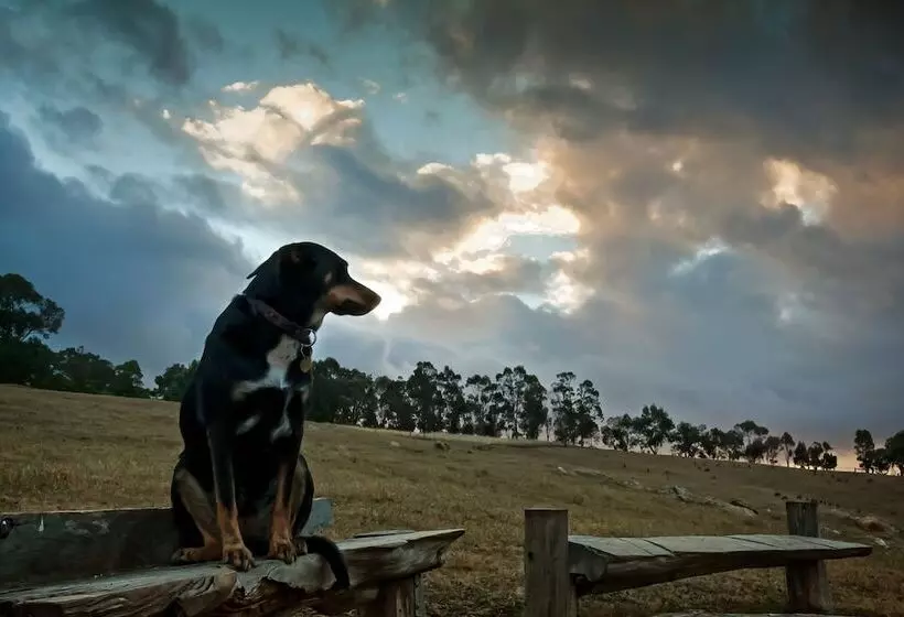 Balingup Heights Hilltop Forest Cottages