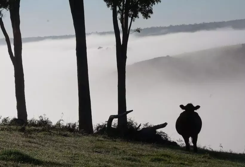 Balingup Heights Hilltop Forest Cottages