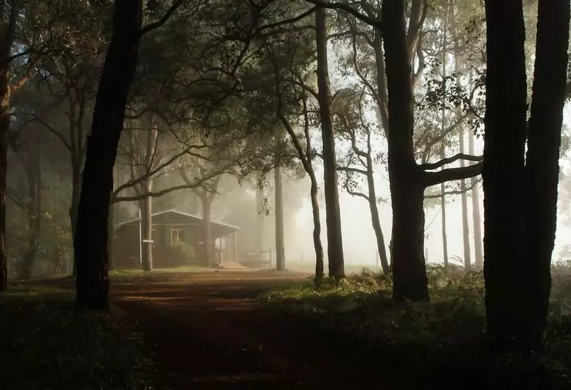Balingup Heights Hilltop Forest Cottages