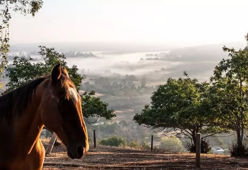 Balingup Heights Hilltop Forest Cottages