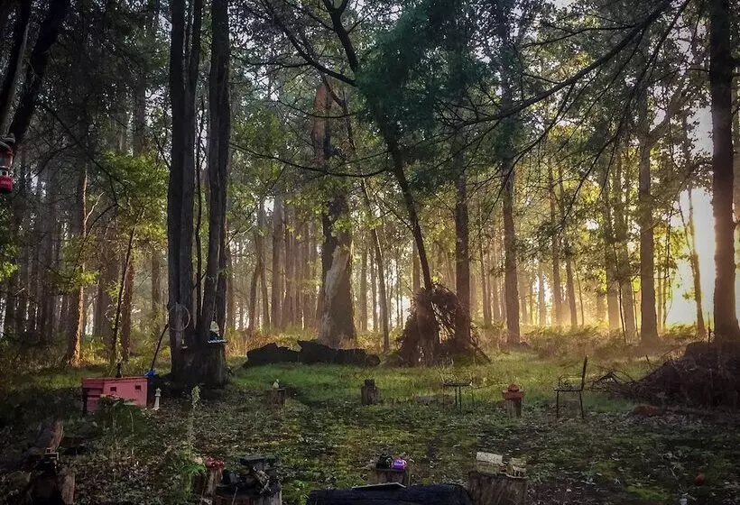 Balingup Heights Hilltop Forest Cottages