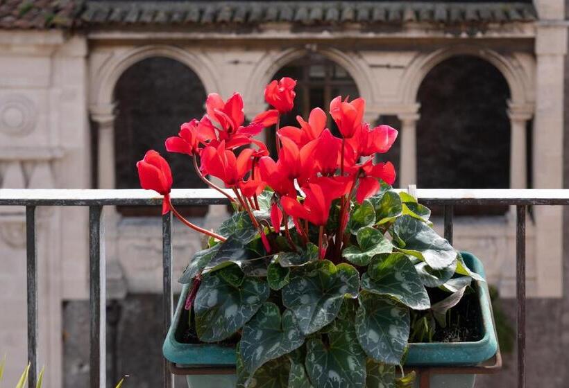 مبيت وإفطار Terrazza Santa Chiara