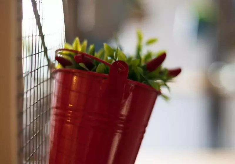 تختخواب و صبحانه Terrazza Santa Chiara