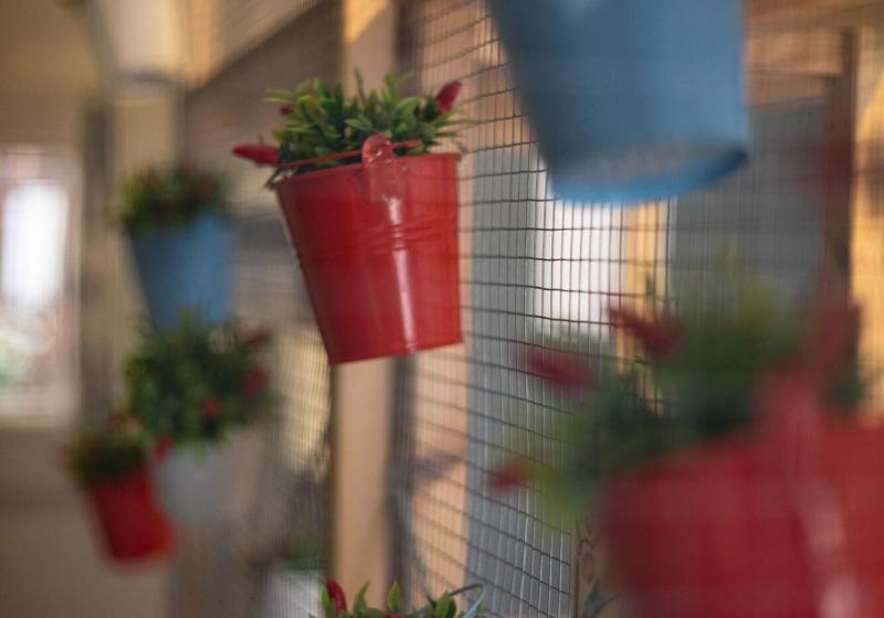 مبيت وإفطار Terrazza Santa Chiara