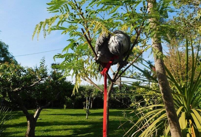 مبيت وإفطار Villa Delle Vacanze