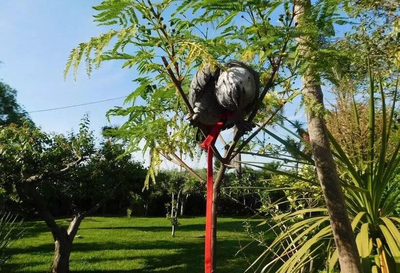 Aamiaismajoitus (B&B) Villa Delle Vacanze