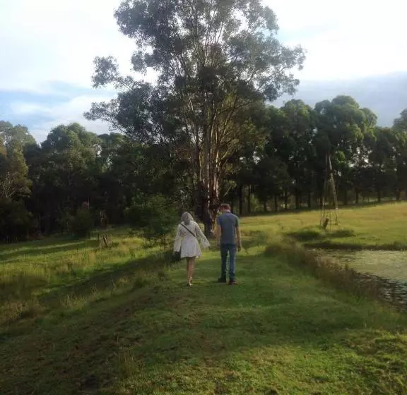 Blueberry Hills On Comleroy Farmstay   Self Contained Cottages