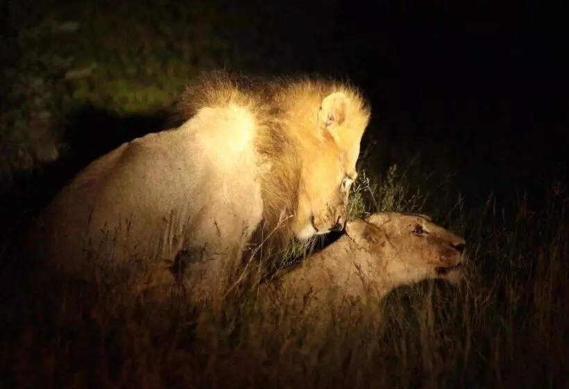 Hotelli Muweti Bush Lodge