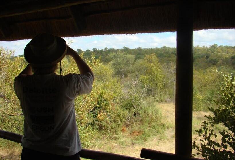 فندق Muweti Bush Lodge