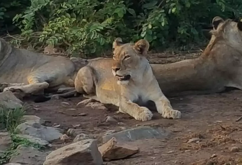 Hotelli Muweti Bush Lodge