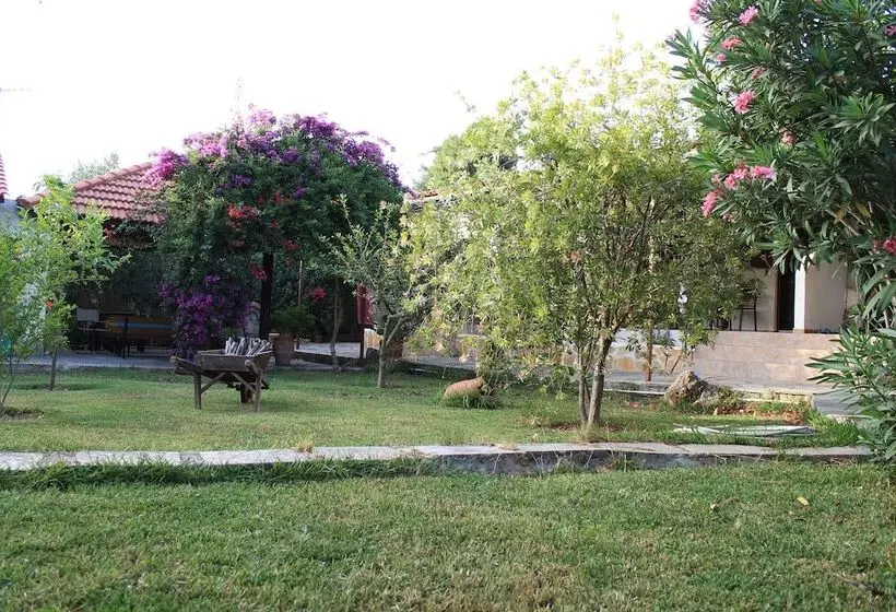 Joanna's Studios