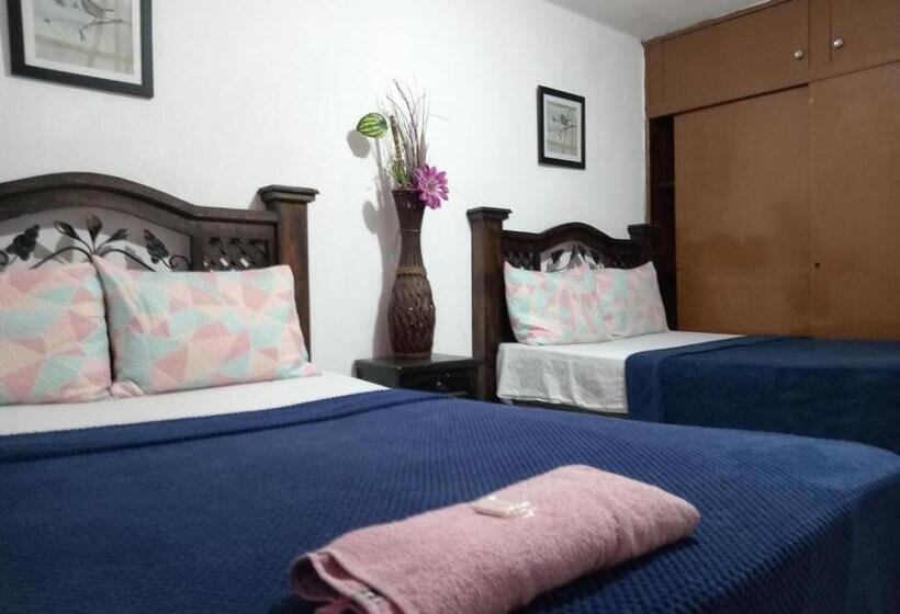 هاستل Historico Maya