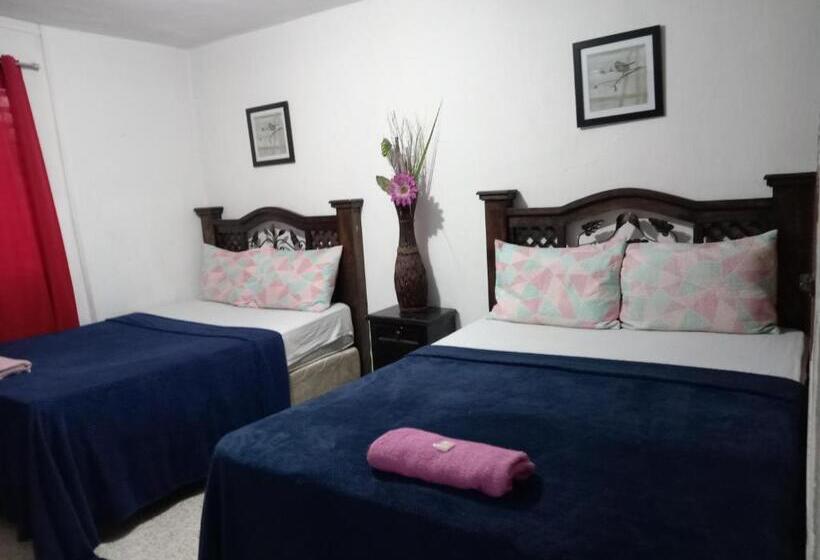 هاستل Historico Maya