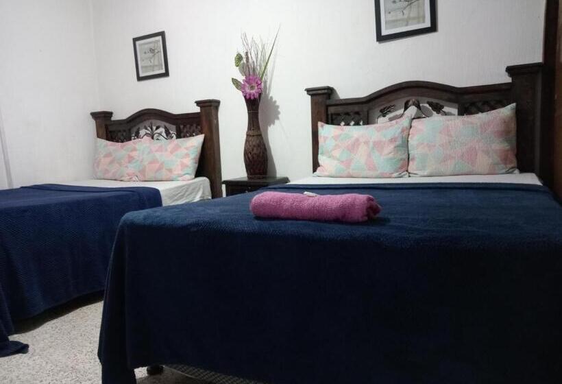 هاستل Historico Maya